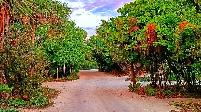 Rauschenberg Foundation to Sell Captiva Island Property Amid Environmental Concerns
