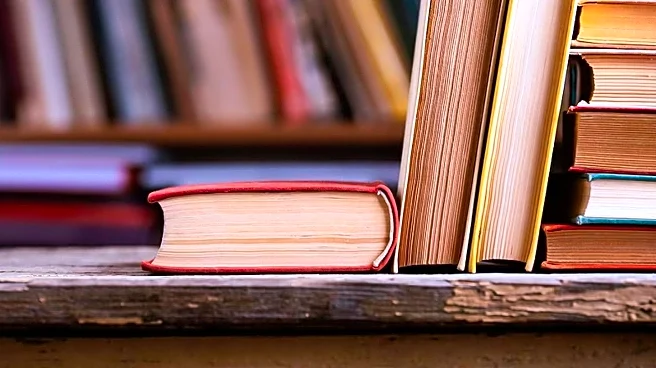 Brighton District Library Hosts Fall Book Sale Offering Affordable Items