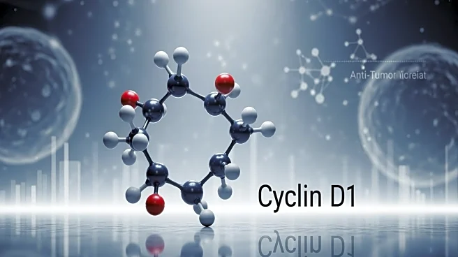 Circle Pharma Presents Preclinical Data on Cyclin D1 Program Highlighting Anti-Tumor Activity