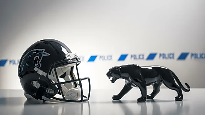 Buffalo Bills and Carolina Panthers: A Unique NFL Player Exchange