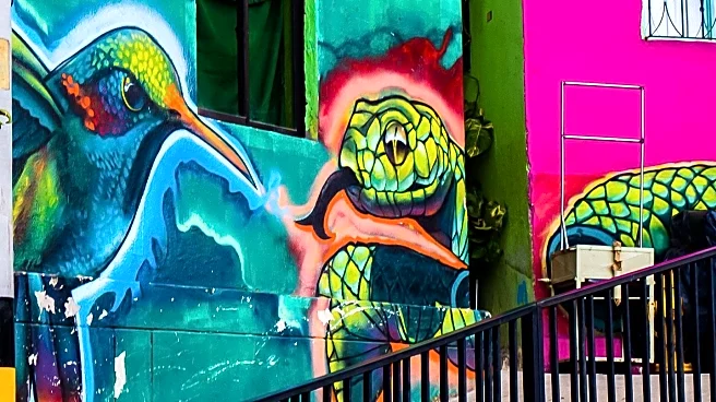 Graffiti Artists in West Africa Transform Urban Landscapes and Public Perception