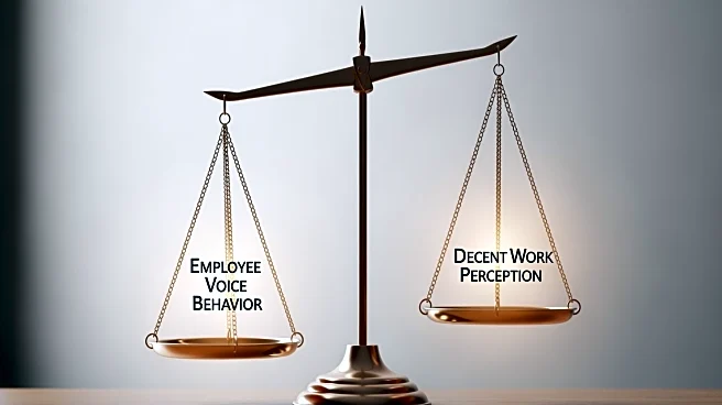 Social Exchange Theory Explores Employee Voice Behavior and Decent Work Perception