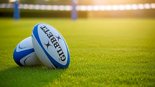 Welsh Rugby Union Plans to Reduce Professional Teams by 2028, Impacting Regional Clubs