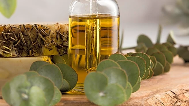 Houttuynia Cordata Essential Oil Shows Promise in Cosmetic Applications for Hyperpigmentation
