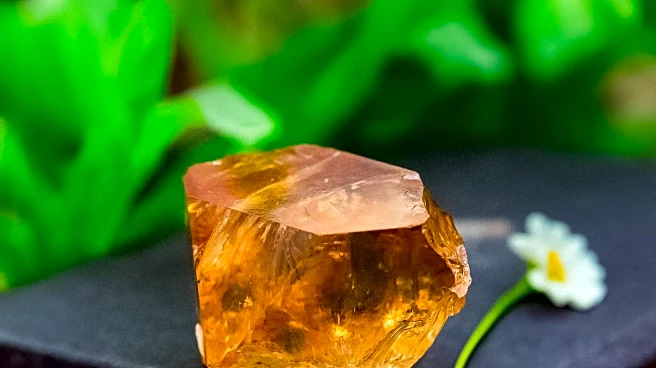 Researchers Discover Reptile Urine Crystals Could Aid in Treating Gout and Kidney Stones