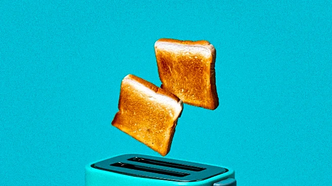 Household Safety: Effective Toaster Cleaning to Prevent Fire Risks