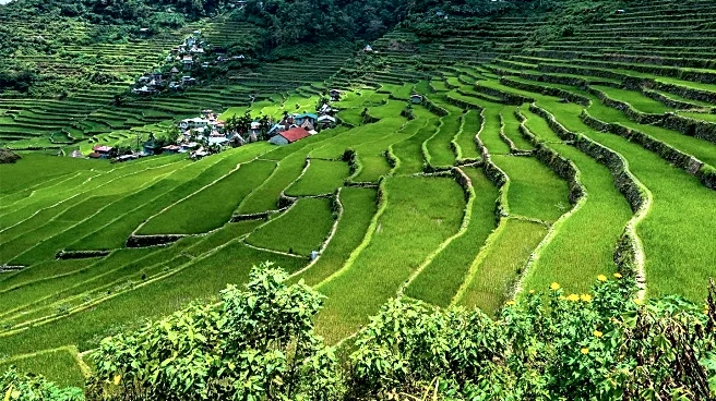 Agusan del Sur Officials Promote Agriculture Education to Address Enrollment Gap