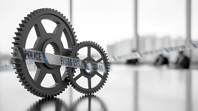 RSM US and RSM UK Announce Transatlantic Partnership to Enhance Services