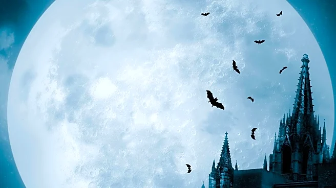 Rise of Horror and Gothic Shops Reflects Cultural Shift in Retail