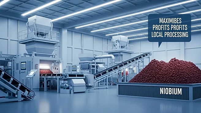 Brazil's Niobium Production Faces Challenges in Maximizing Profits Due to Lack of Local Processing
