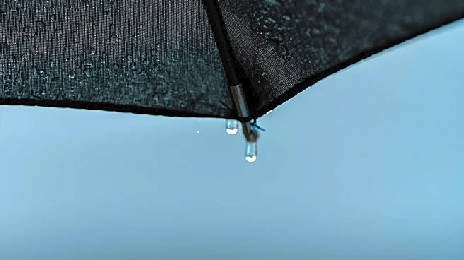 South Florida Weather Forecast: Increased Rainfall Expected Through Sunday
