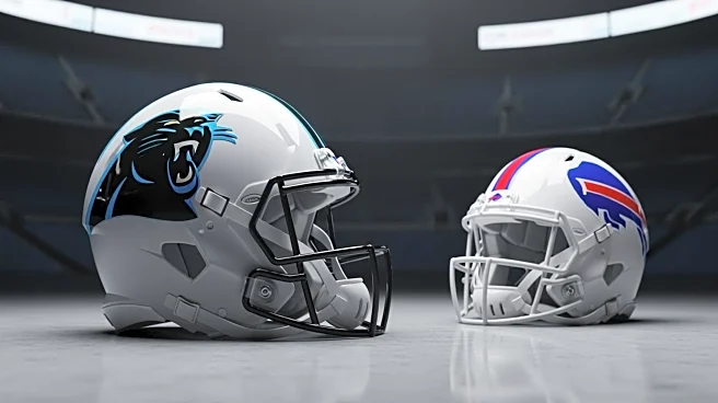Carolina Panthers Announce Andy Dalton to Start Against Buffalo Bills Amid Bryce Young's Injury