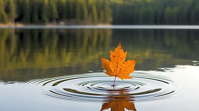 Canadian Travel to U.S. Declines Sharply Amid Broader Cross-Border Trends