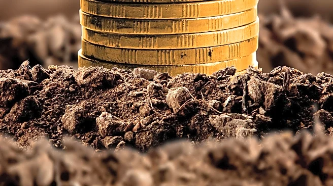 Strategic Philanthropy Generates Unexpected Returns for Donors