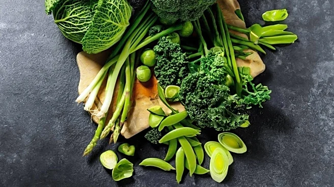 Researchers Link Green-MED Diet to Slower Brain Aging in Adults