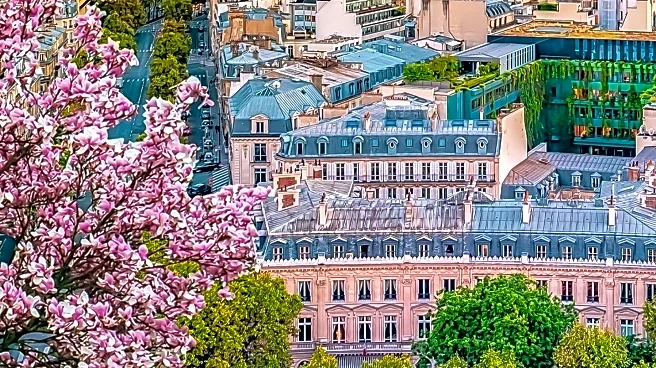 Paris Wedding Proposal Spots Criticized for Lack of Intimacy on TikTok