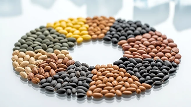 Morocco's Genebank Secures Crop Diversity with Svalbard Seed Vault Partnership