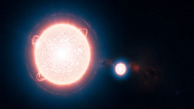 Betelgeuse's Companion Star Challenges Binary Star Theories