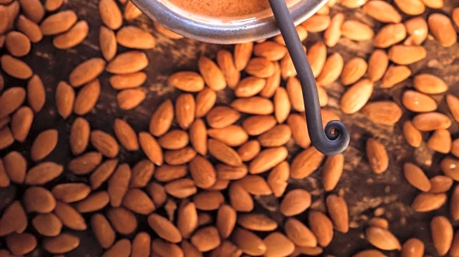 Almond Butter: A Nutrient-Dense Spread with Health Benefits and Considerations