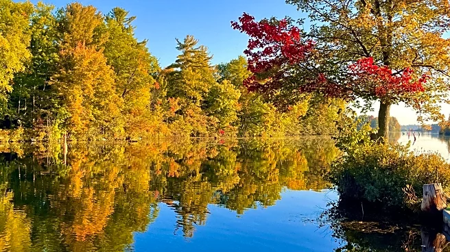 Explore Fall Map Highlights Peak Fall Foliage Across the U.S.