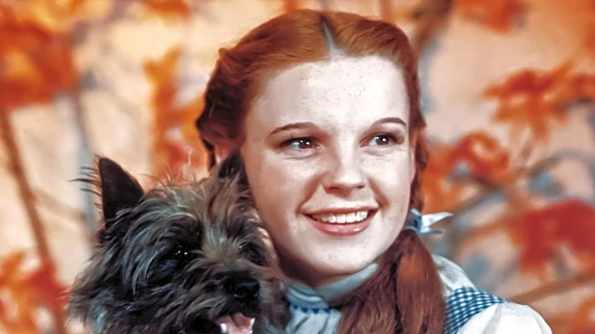 Starke County Library Hosts Event on 'Wizard of Oz' Lodge History