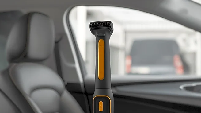 Students Personalize Cars with Unique Items Reflecting Their Lifestyles