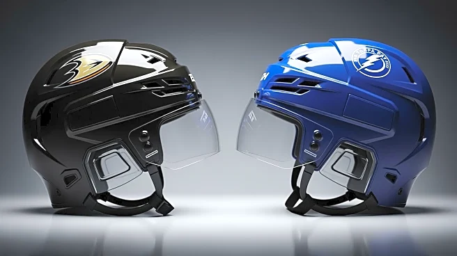 Anaheim Ducks Aim for Third Consecutive Win Against Tampa Bay Lightning