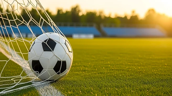 Ivan Sereno's 32nd Goal Secures Grayslake Central's Victory in Regional Final