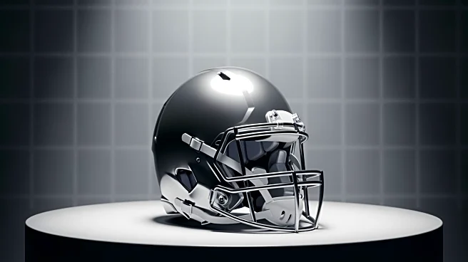 Vikings Linebacker Fined by NFL for Unnecessary Roughness