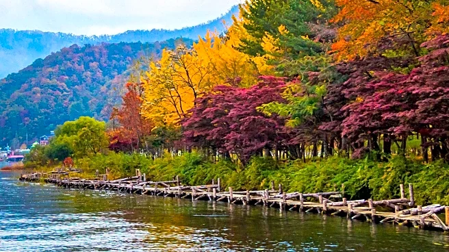 Explore Fall Map Highlights Best States for Peak Fall Foliage