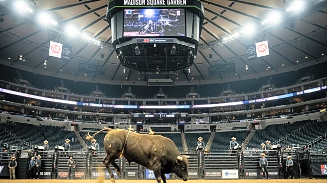 Professional Bull Riders Rodeo Event Draws Crowds at Madison Square Garden