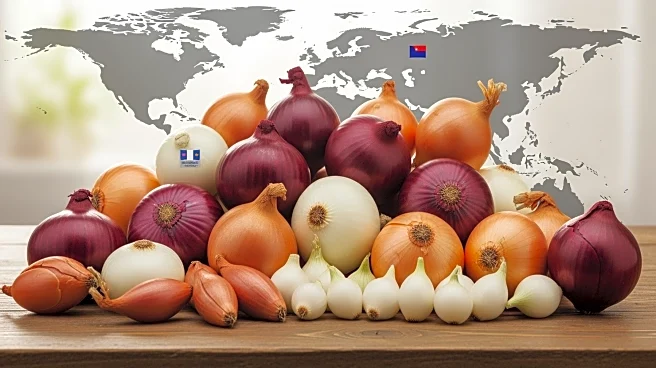 South African Seed Producers Expand Global Reach, Supplying Onions to 4 Billion People