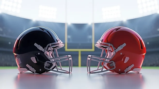 Houston Texans vs San Francisco 49ers NFL Game: Viewing Options and Team Updates