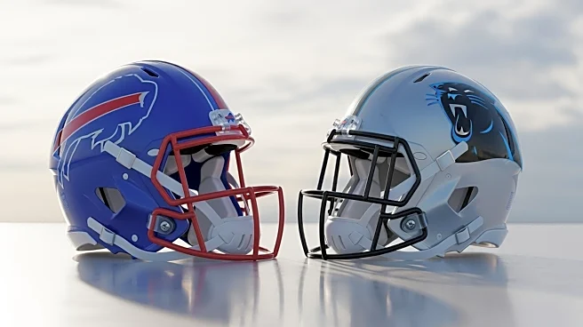 Weather Conditions Favorable for Buffalo Bills vs. Carolina Panthers Game