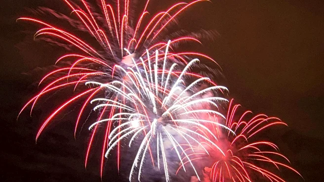 Guernsey Charity Raises Concerns Over Fireworks Impact on Pets