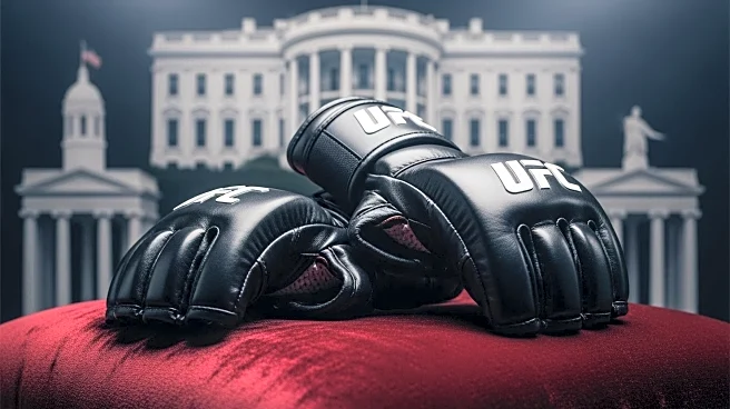 Jon Jones Accepts Alex Pereira's Challenge for UFC White House Super Fight