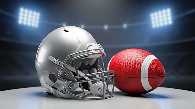 San Francisco 49ers vs. Houston Texans: NFL Game Viewing Options and Schedule