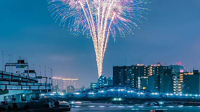 Guernsey Charity Highlights Fireworks' Impact on Pets and Wildlife