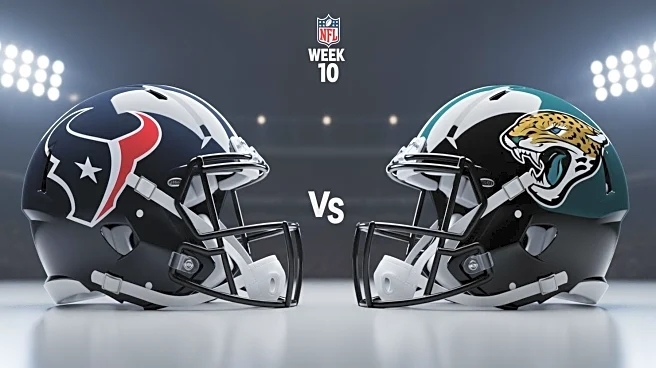 Texans vs. Jaguars 2025: Ticket Prices and Game Details for NFL Week 10 Clash