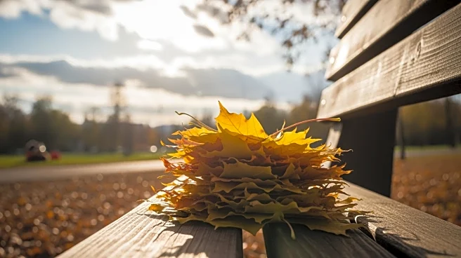 Philadelphia Weather Forecast: Cool Fall Sunday with Partly Sunny Skies