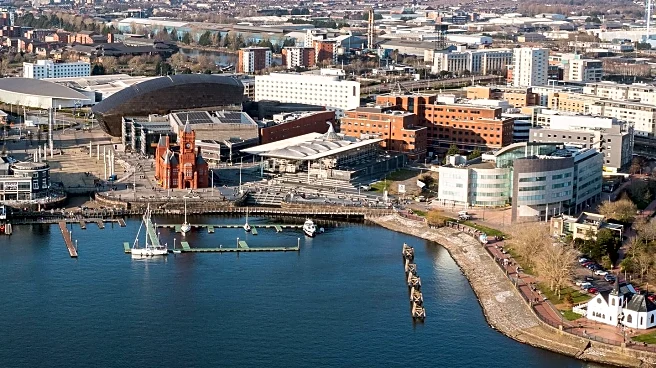 Cardiff Painting Inspires Nursing Career and Historical Discovery