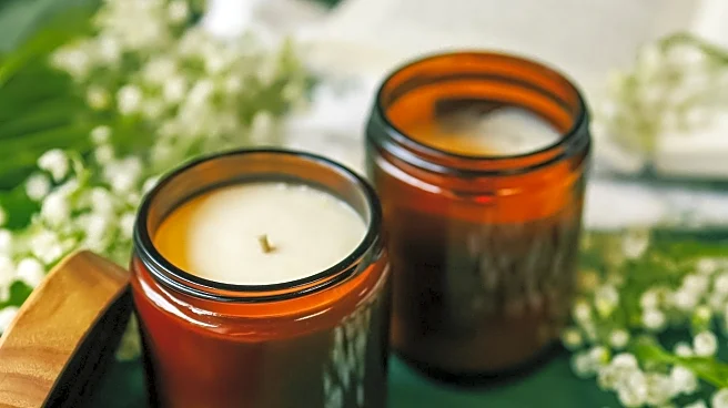 ZM Candles and Scent: Transforming Homes with Fragrance