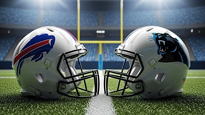 Bills' Dion Dawkins and Panthers' A'Shawn Robinson Engage in Post-Game Scuffle