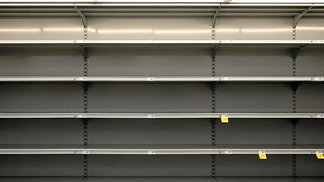 Government Shutdown Affects Federal Food Assistance, Impacting Economy