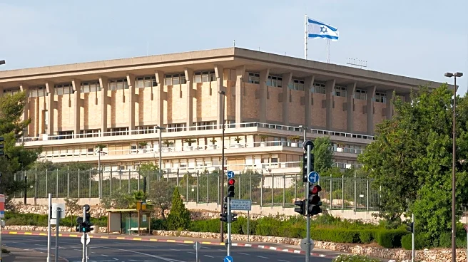 Gila Tolub's Journey from McKinsey to Trauma Healing in Israel