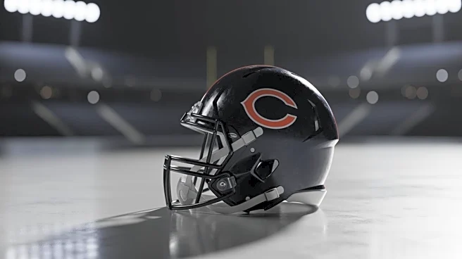 Chicago Bears Struggle Under Coach Ben Johnson, Lose 30-16 to Ravens