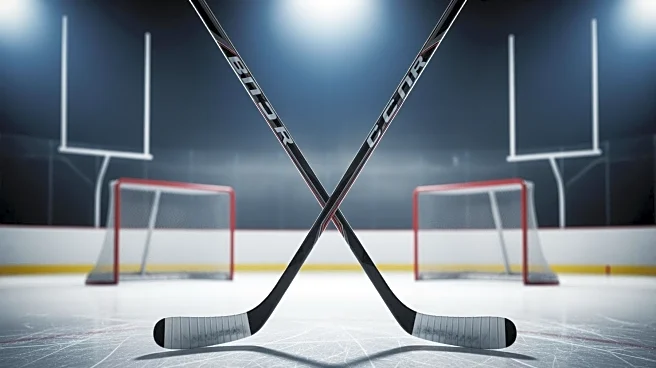 Detroit Red Wings Overcome Deficit to Defeat St. Louis Blues 6-4