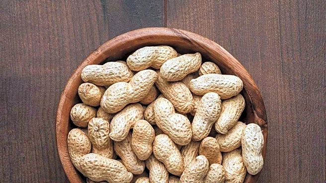 Study Finds Early Introduction of Peanuts to Infants Reduces Allergy Risk