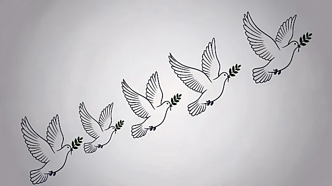 United Nations Commissions Sergio Baradat for 'No Nukes' Postage Campaign
