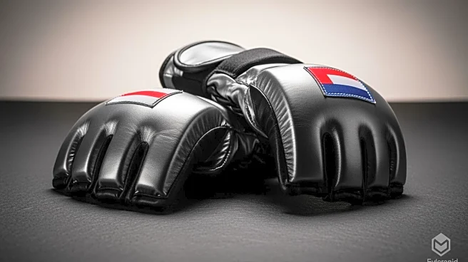 UFC Fighter Andrey Pulyaev Criticizes Eye Pokes in Aspinall vs. Gane Fight, Calls for Rematch